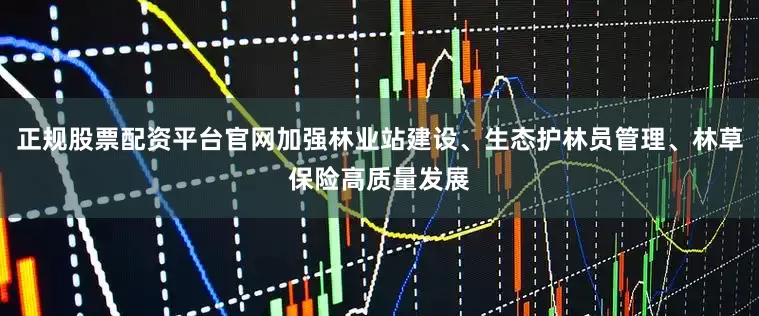 正规股票配资平台官网加强林业站建设、生态护林员管理、林草保险高质量发展