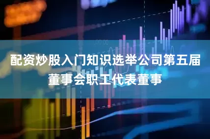 配资炒股入门知识选举公司第五届董事会职工代表董事